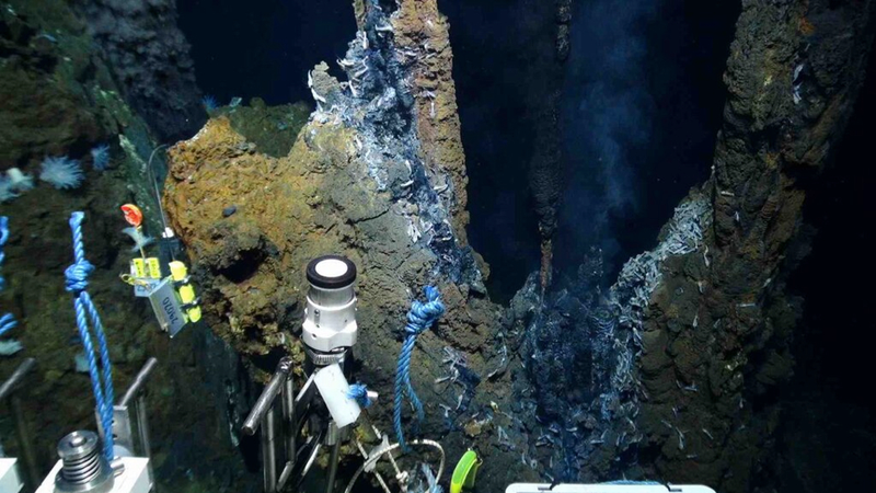 Illustration for article titled The First Pictures of Life in the Deepest Ocean Vents Ever Discovered